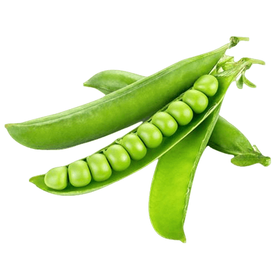 Mangetout